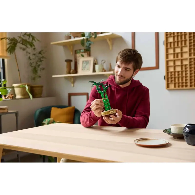 lego-botanicals-collection-bambu-da-sorte-10344-sumtek lego-botanicals-collection-bambu-da-sorte-10344-sumtek