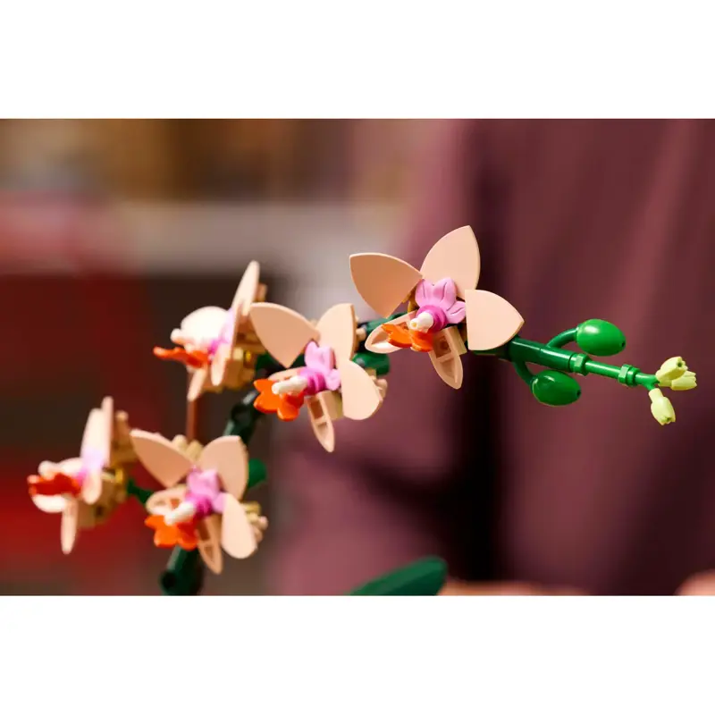 lego-botanicals-collection-orquidea-em-miniatura-10343-sumtek