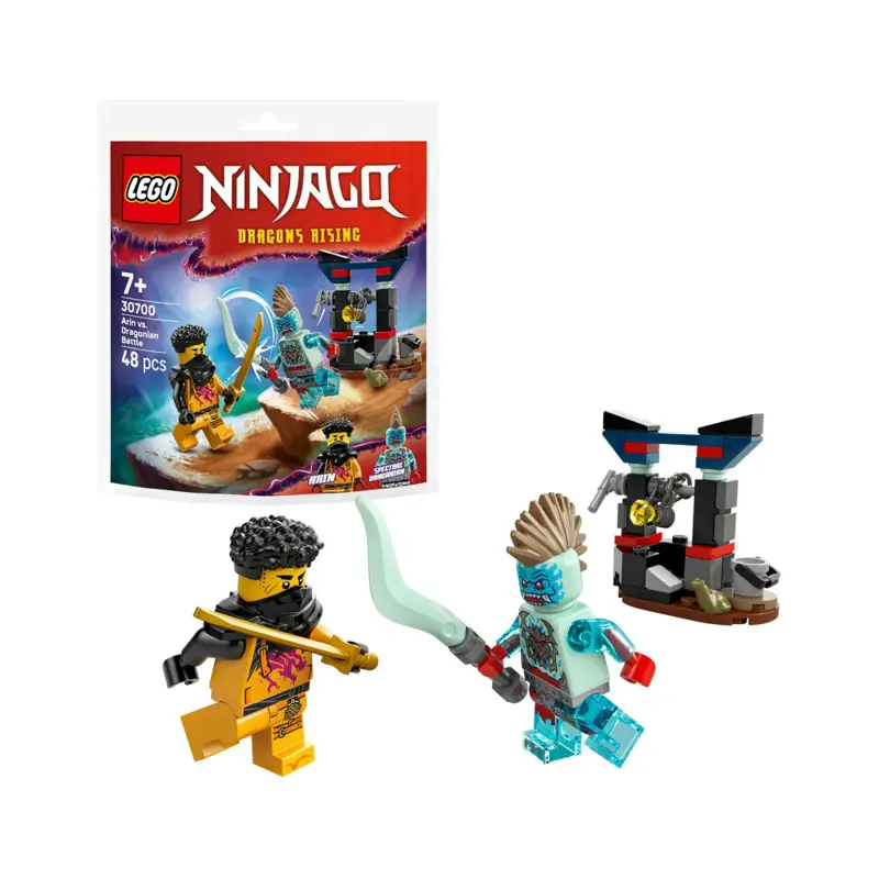 lego-ninjago-batalha-de-arin-vs-dragonian-30700-sumtek
