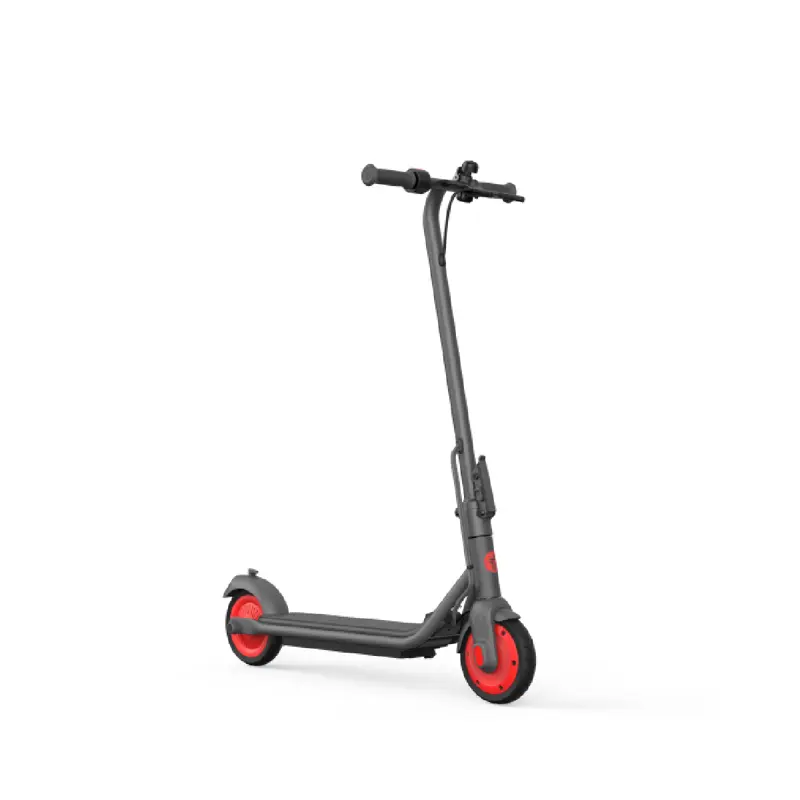 trotinete-electrica-ninebot-by-segway-kickscooter-zing-c15e-sumtek